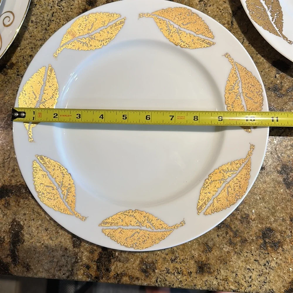 Set of 2 crate & barrel dinner plates